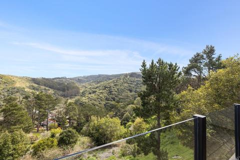 353 Durant Way, Mill Valley, CA 94941 photo 6