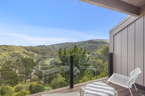 353 Durant Way, Mill Valley, CA 94941 photo 28