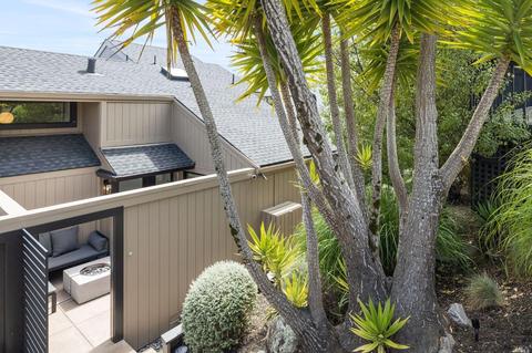 353 Durant Way, Mill Valley, CA 94941 photo 41