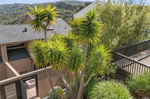 353 Durant Way, Mill Valley, CA 94941 photo 47