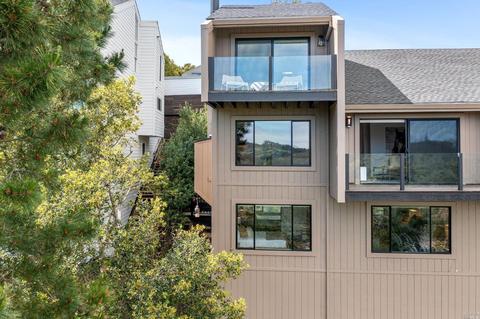 353 Durant Way, Mill Valley, CA 94941 photo 45
