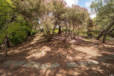 59 Manor Rd, Kentfield, CA 94904 photo 45