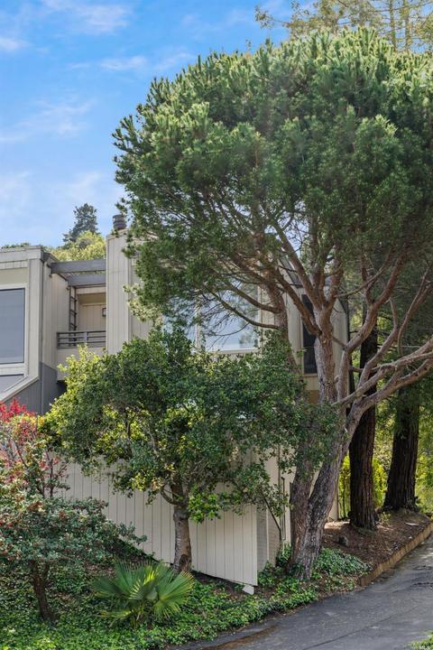 86 Lincoln Dr, Sausalito, CA 94965 photo 29
