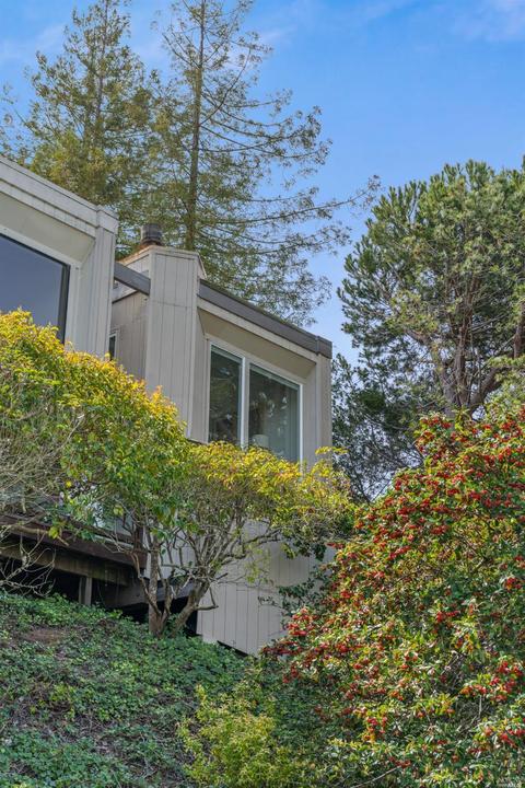 86 Lincoln Dr, Sausalito, CA 94965 photo 28
