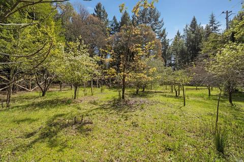 24033 Willow Ln, Willits, CA 95490 photo 33