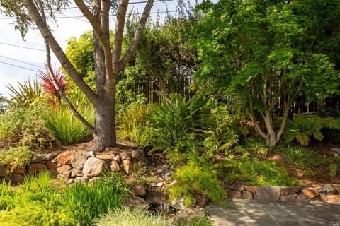 452 Wellesley Ave, Mill Valley, CA 94941 photo 23