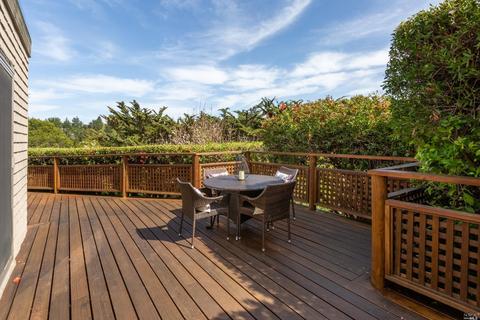 452 Wellesley Ave, Mill Valley, CA 94941 photo 22