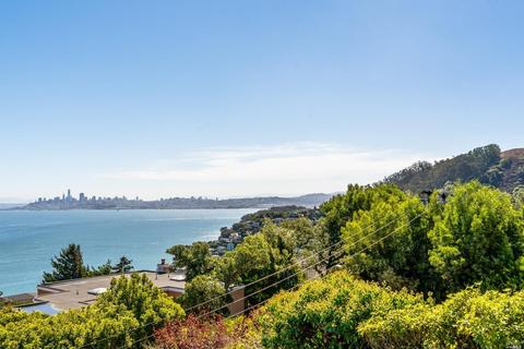 19 Prospect Ave, Sausalito, CA 94965 photo 26