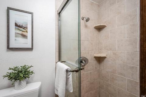 361 N Ferndale Ave, Mill Valley, CA 94941 photo 34