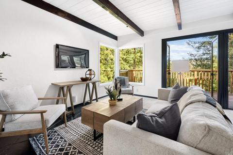 361 N Ferndale Ave, Mill Valley, CA 94941 photo 7