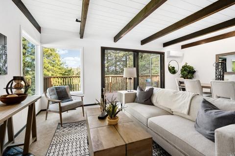 361 N Ferndale Ave, Mill Valley, CA 94941 photo 8