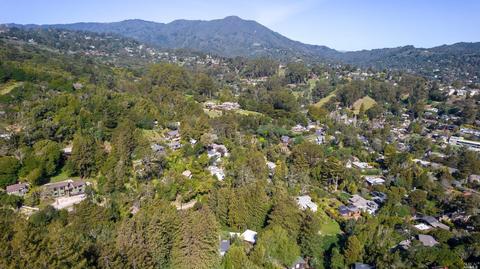 361 N Ferndale Ave, Mill Valley, CA 94941 photo 41