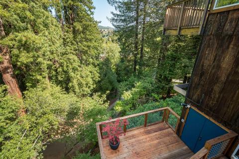 361 N Ferndale Ave, Mill Valley, CA 94941 photo 38