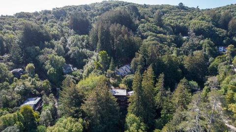 361 N Ferndale Ave, Mill Valley, CA 94941 photo 40