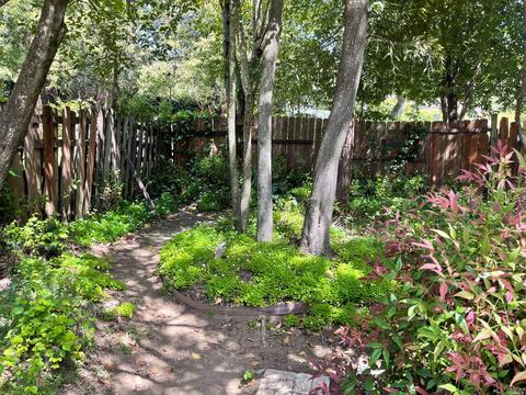 25 Cedar Ave, Kentfield, CA 94904 photo 4
