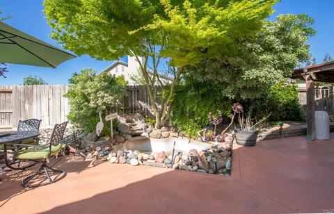 1665 Austin Dr, Dixon, CA 95620 photo 48
