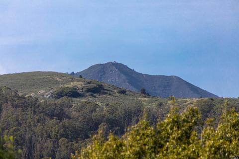 708 Cabin Dr, Mill Valley, CA 94941 photo 41