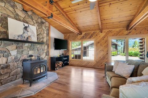 33670 Annapolis Rd, Annapolis, CA 95412 photo 20