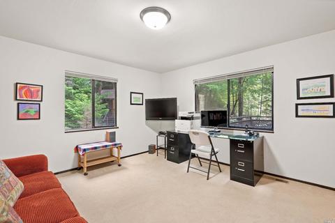 9 Pine Flat Rd, Cazadero, CA 95421 photo 24