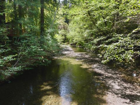9 Pine Flat Rd, Cazadero, CA 95421 photo 9