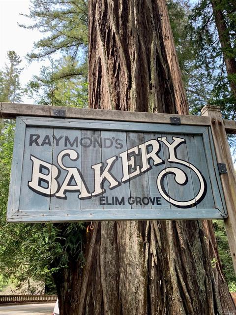 9 Pine Flat Rd, Cazadero, CA 95421 photo 39