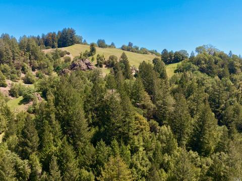 9 Pine Flat Rd, Cazadero, CA 95421 photo 40