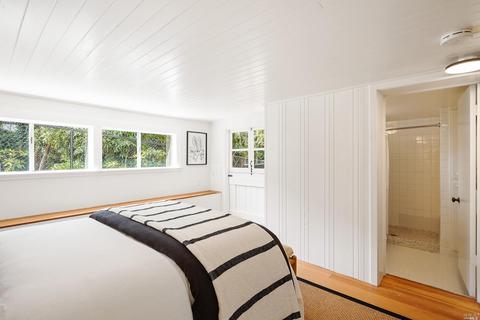 299 Hillside Ave, Mill Valley, CA 94941 photo 34