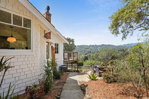 299 Hillside Ave, Mill Valley, CA 94941 photo 54