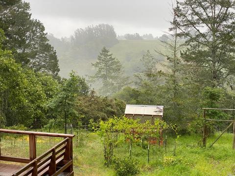 3727 Burnside Rd, Sebastopol, CA 95472 photo 4
