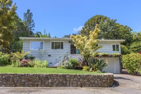 35 Wolfe Ave, San Rafael, CA 94901 photo 2