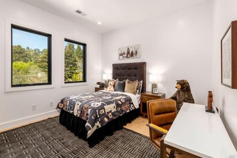 261 Loring Ave, Mill Valley, CA 94941 photo 39