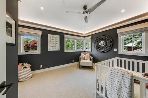 94 Shady Ln, Ross, CA 94957 photo 40
