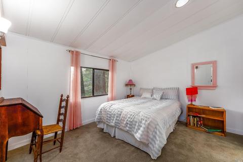 4245 Blackhawk Dr, Willits, CA 95490 photo 12