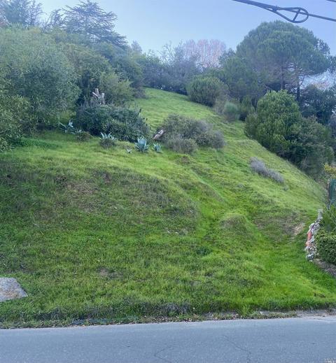 106 Walnut Ave, Corte Madera, CA 94925 photo 5