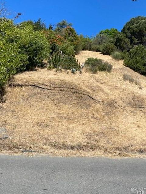 106 Walnut Ave, Corte Madera, CA 94925 photo 6
