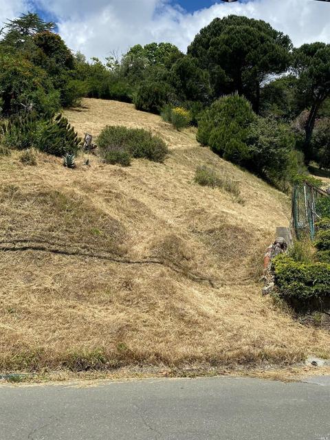 106 Walnut Ave, Corte Madera, CA 94925 photo 4