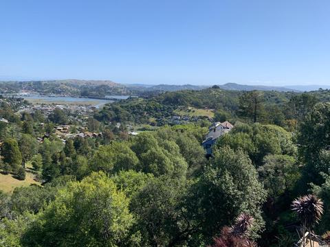 398 Durant Way, Mill Valley, CA 94941 photo 12
