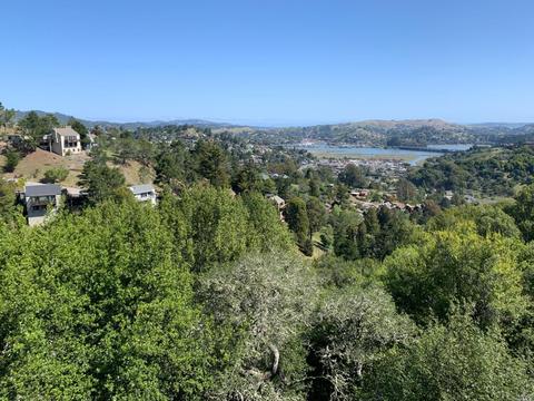 398 Durant Way, Mill Valley, CA 94941 photo 2