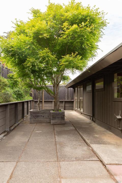 246 Perry St, Mill Valley, CA 94941 photo 20