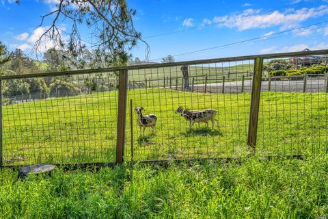 1490 W Sierra Ave, Cotati, CA 94931 photo 36