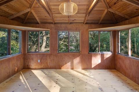 100 Summit Ave, Mill Valley, CA 94941 photo 90