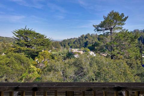 100 Summit Ave, Mill Valley, CA 94941 photo 69