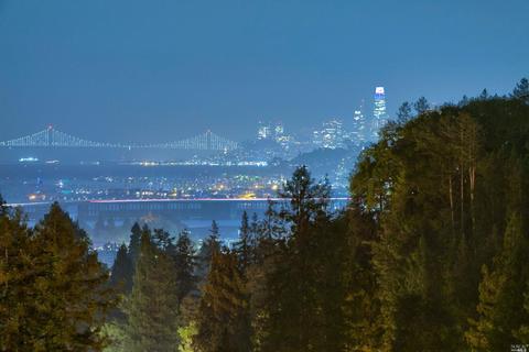 100 Summit Ave, Mill Valley, CA 94941 photo 5