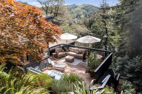 11 Bay Tree Ln, Mill Valley, CA 94941 photo 23
