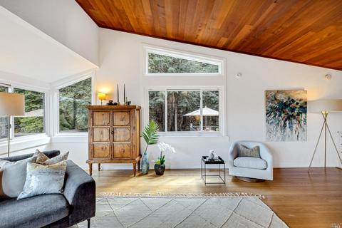 11 Bay Tree Ln, Mill Valley, CA 94941 photo 10