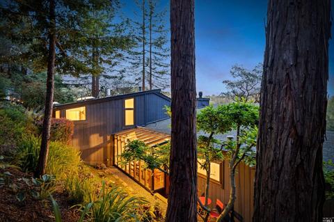 11 Bay Tree Ln, Mill Valley, CA 94941 photo 2