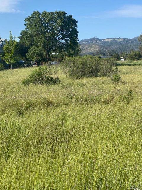 1698 E Napa St, Sonoma, CA 95476 photo 2