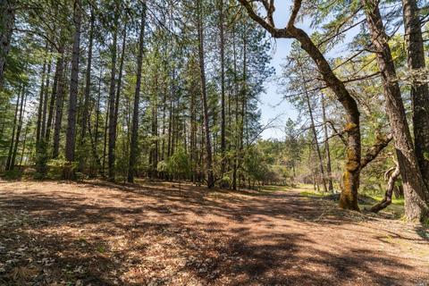 4551 Lakewood Dr, Willits, CA 95490 photo 24