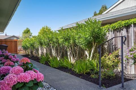 9 Enterprise Dr, Corte Madera, CA 94925 photo 30
