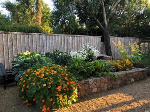 347 E Spain St, Sonoma, CA 95476 photo 26